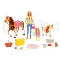 Набор Barbie Барби, Челси и любимые лошадки FXH15